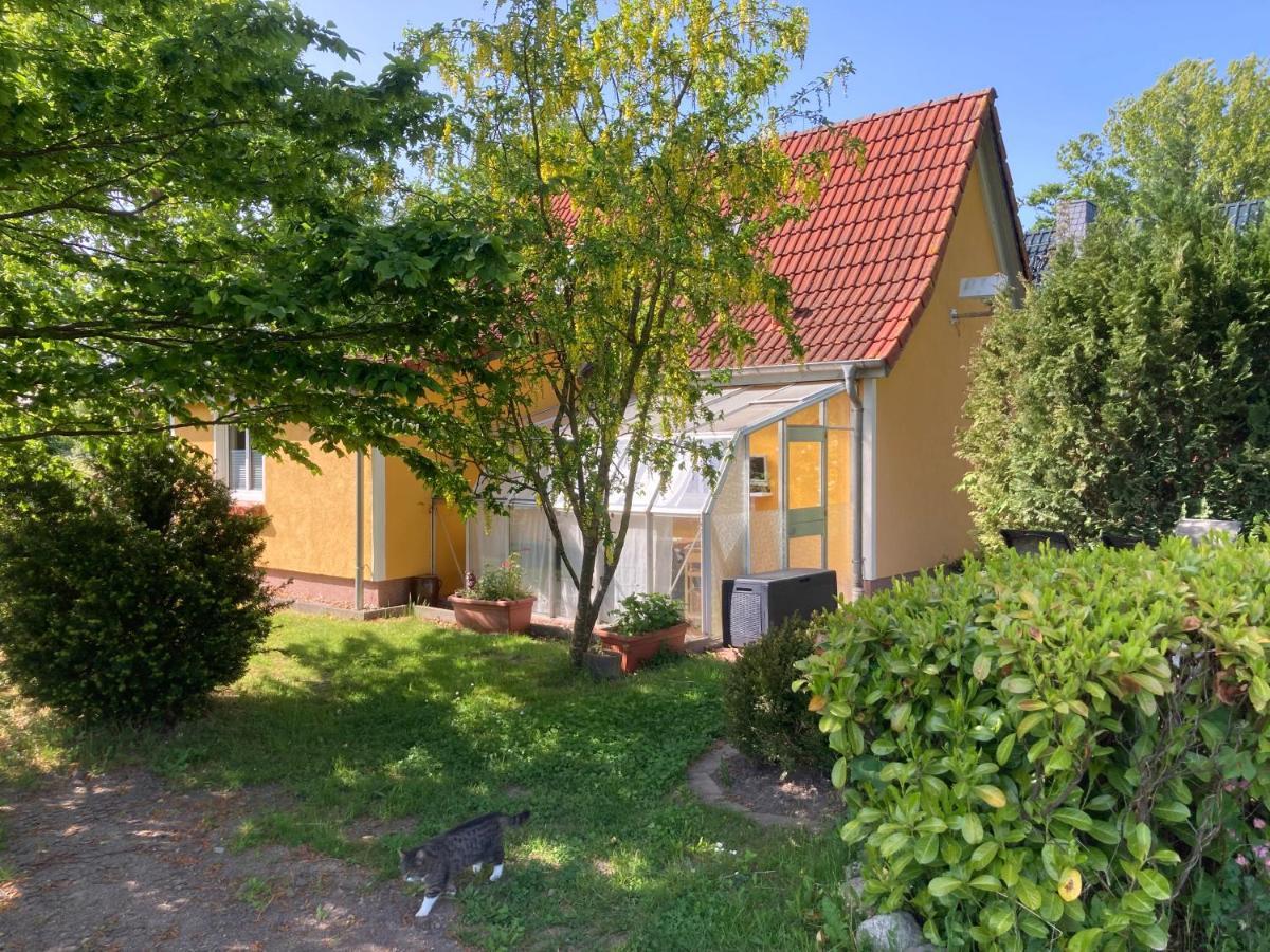 Ferienhaus -Villa Huehnerstall- Hessenburg Kültér fotó